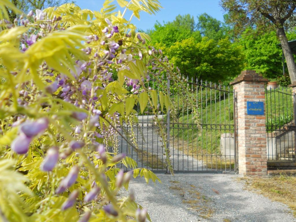 Tenuta Calabiana Diano d'Alba Ruang foto
