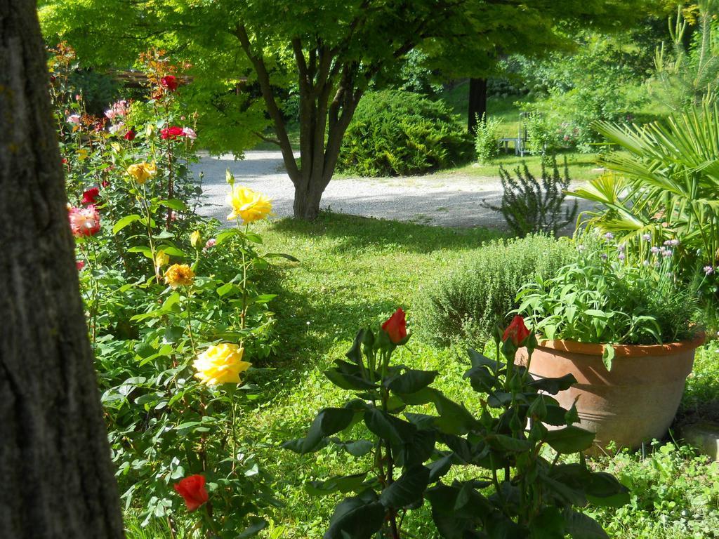 Tenuta Calabiana Diano d'Alba Ruang foto