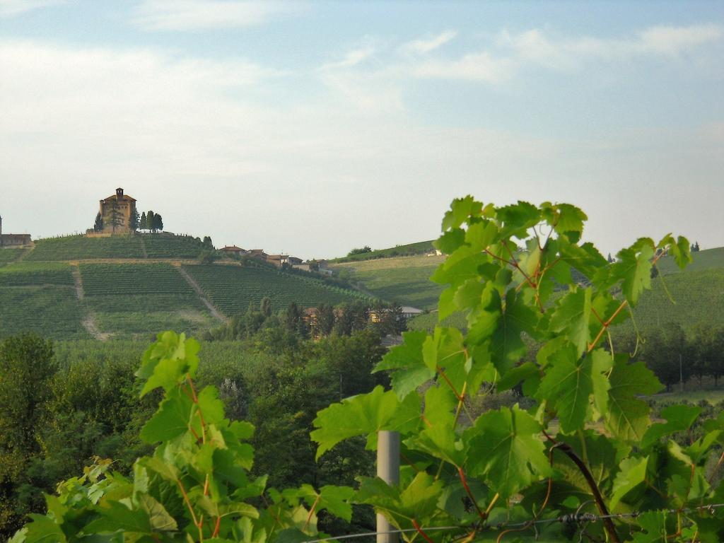 Tenuta Calabiana Diano d'Alba Ruang foto